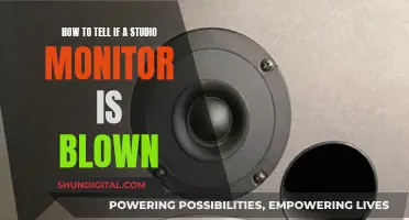 Studio Monitor Blown: How to Spot the Signs