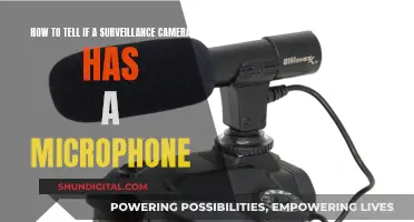 Uncovering Surveillance: Detecting Microphones in Cameras