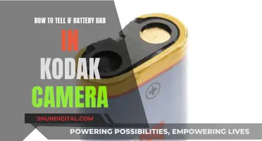 Kodak Camera Battery: How to Spot a Bad One