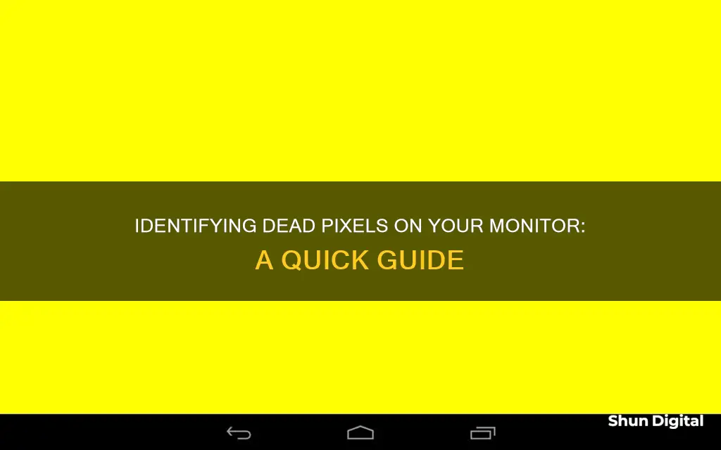 how to tell if monitor has a dead pixel