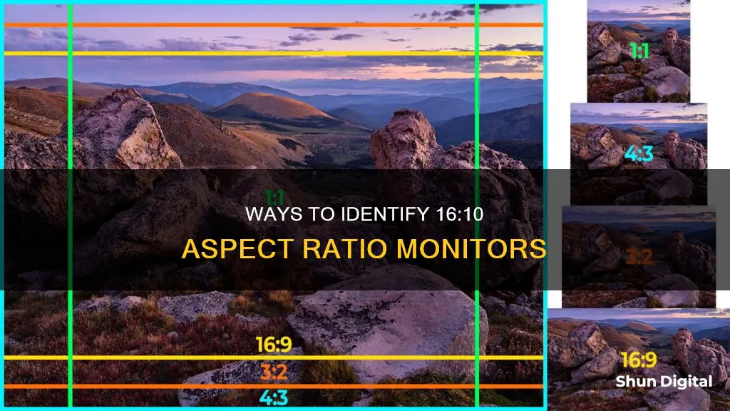 how to tell if monitor is 16 10