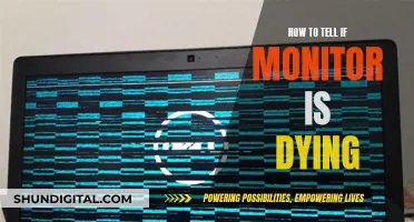 Signs Your Monitor is Dying and What to Do