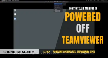 TeamViewer Tips: Monitor Status Detection Tricks