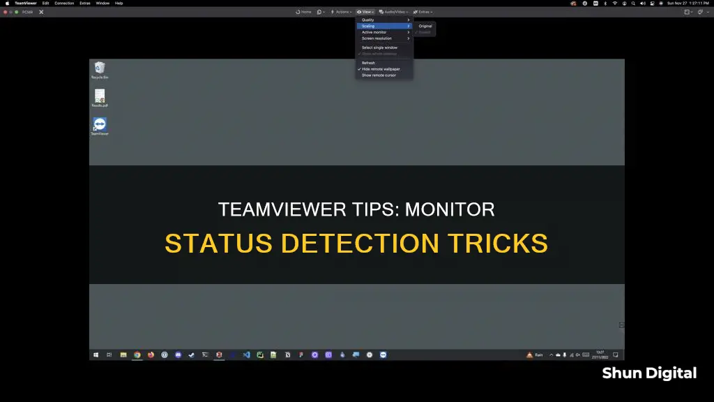 how to tell if monitor is powered off teamviewer