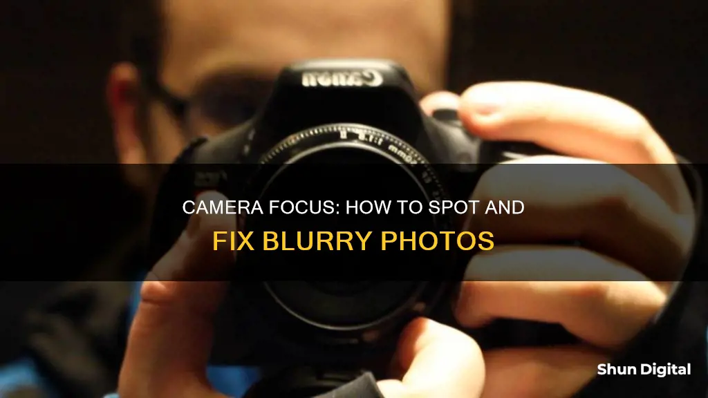 how to tell if my camera focus is off