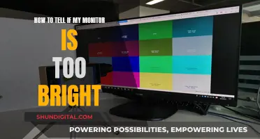 Is Your Monitor Too Bright? Check with These Tips