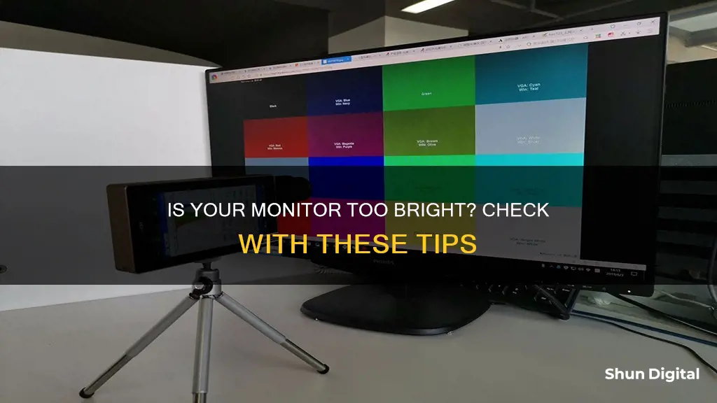 how to tell if my monitor is too bright