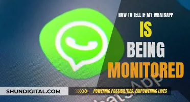 Is My WhatsApp Being Monitored? Signs to Look For