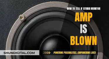 Studio Monitor Amp: Blown? Here's How to Tell