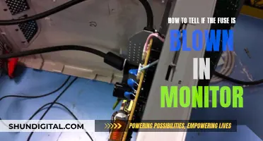 Troubleshooting a Monitor: Checking for Blown Fuses