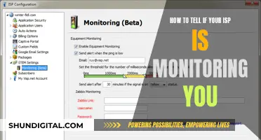 ISPs Monitoring: How to Detect and Prevent Snooping