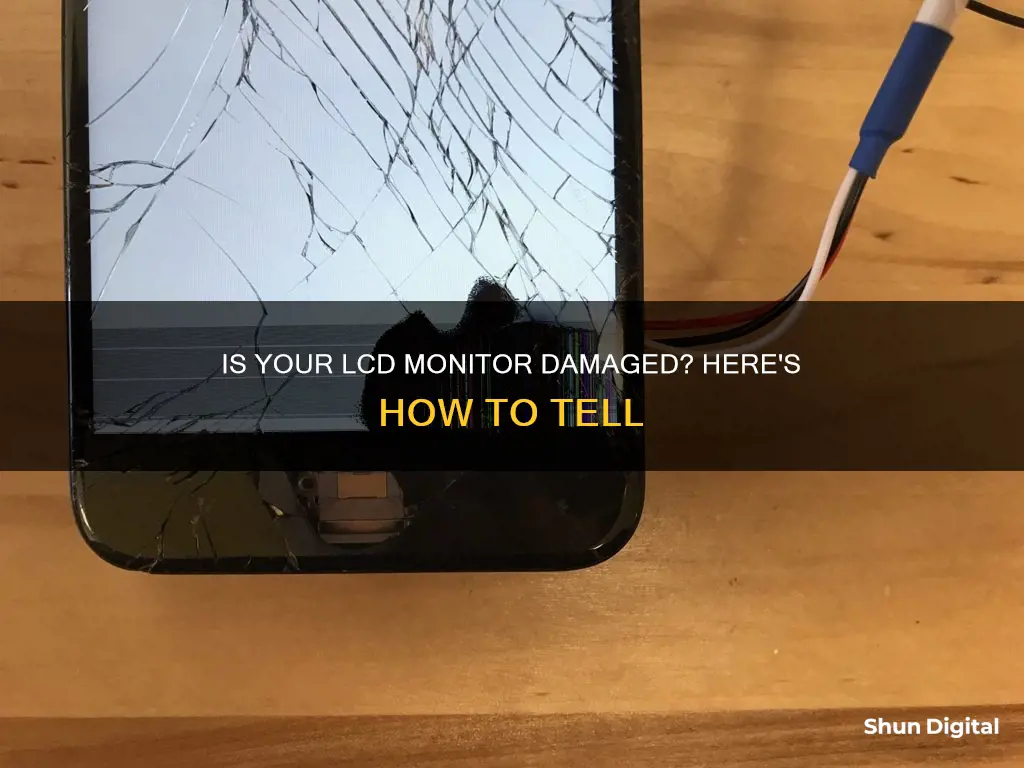 how to tell if your lcd monitor is damaged