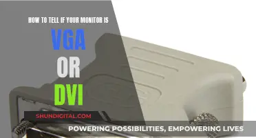 Identifying Monitor Ports: VGA or DVI?