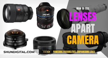 Differentiating Camera Lenses: A Guide to Spotting the Differences