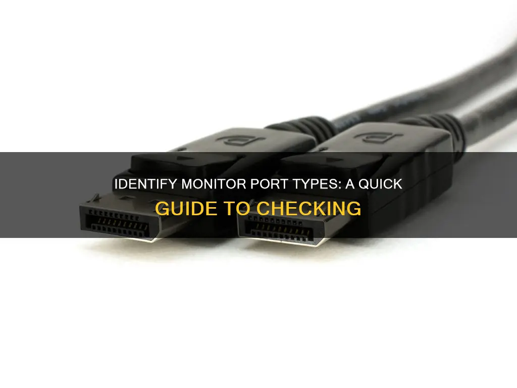 how to tell monitor port type