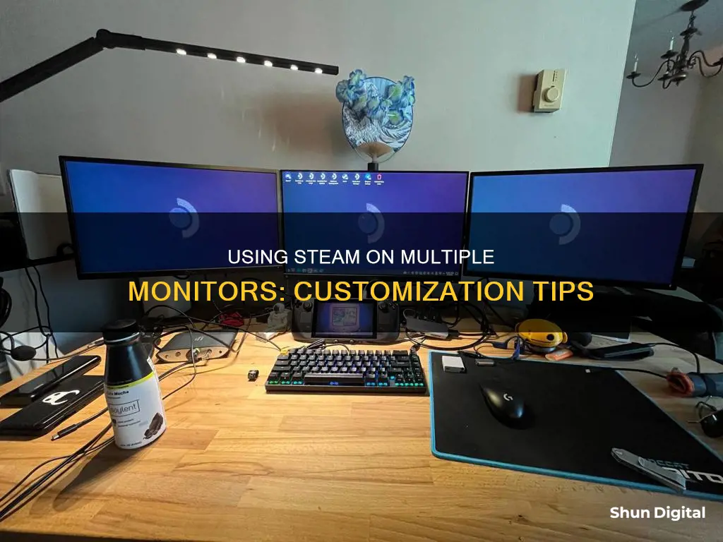 how to tell steam to run on a different monitor