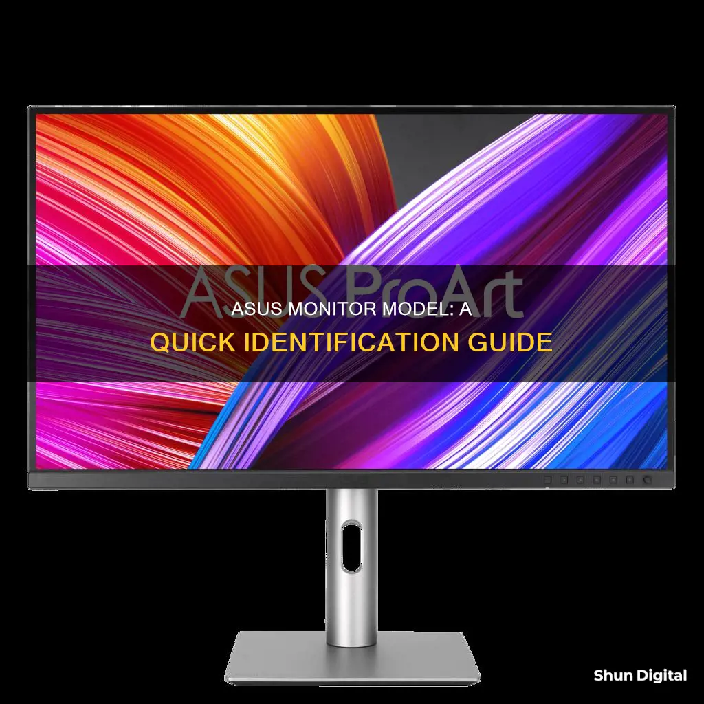 how to tell teh model of your asus monitor