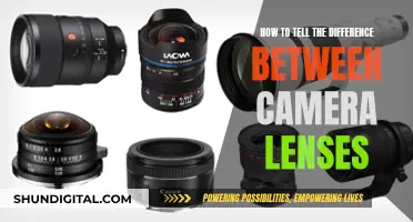 Understanding Camera Lenses: A Guide to Varied Perspectives