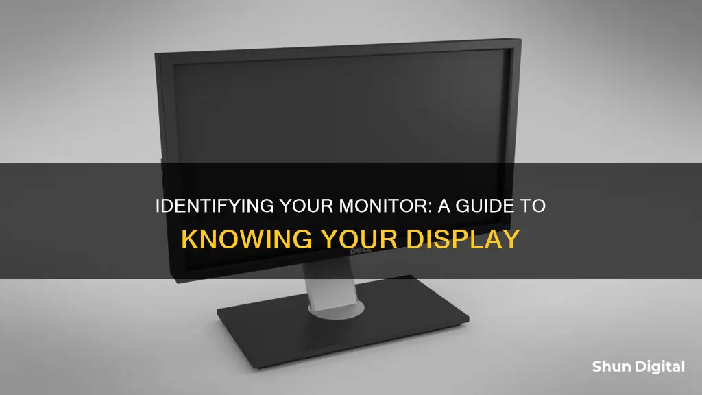 how to tell what monitor i have