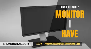 Identifying Your P Monitor: A Step-by-Step Guide