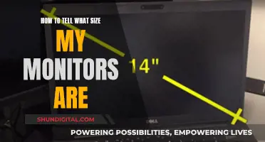 Finding the Right Monitor Size for You