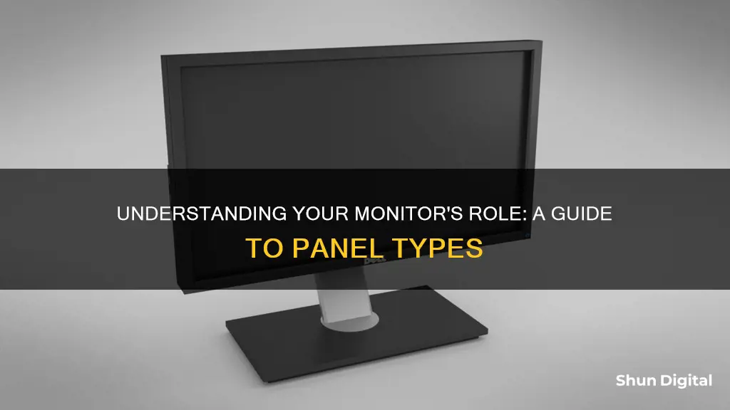 how to tell what your monitors are