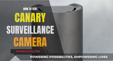 Testing Canary Surveillance Cameras: A Step-by-Step Guide