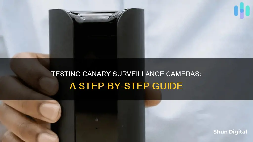 how to test canary surveillance camera