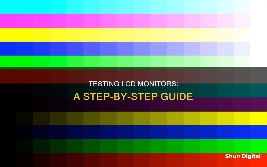 how to test lcd monitor