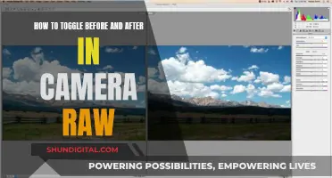 Exploring the Toggle Feature in Camera Raw