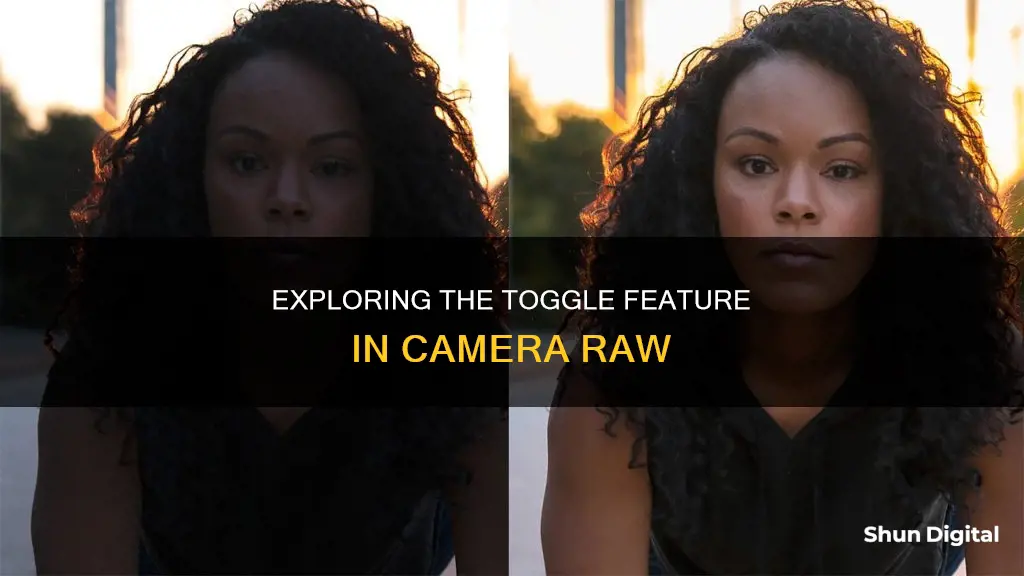 how to toggle before and after in camera raw