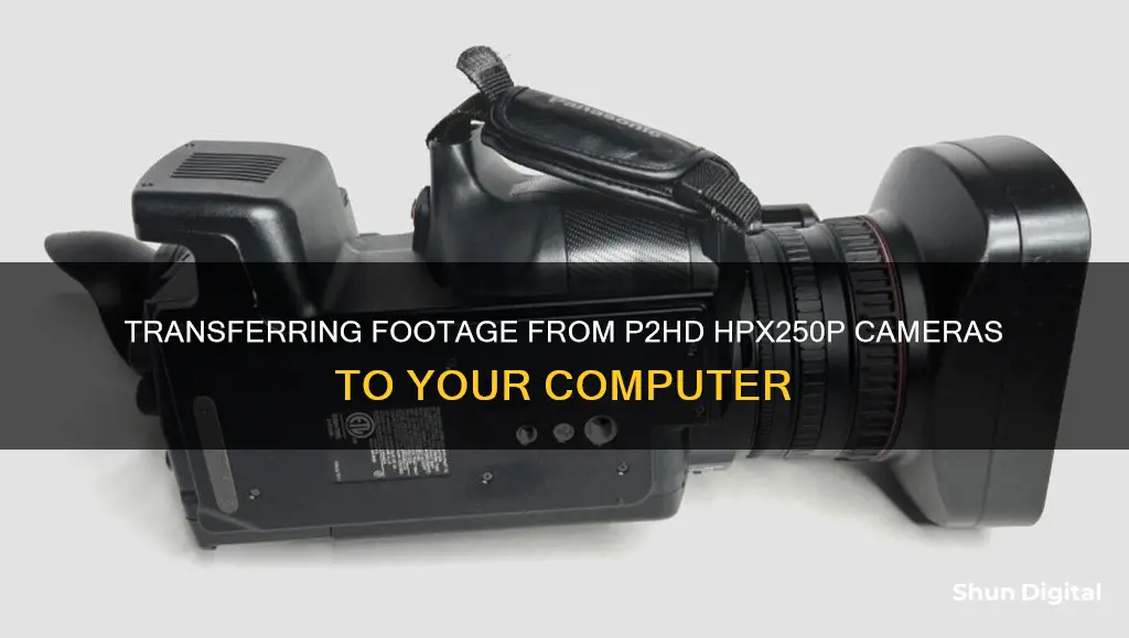 how to transfer from p2hd hpx250p cameras to computer