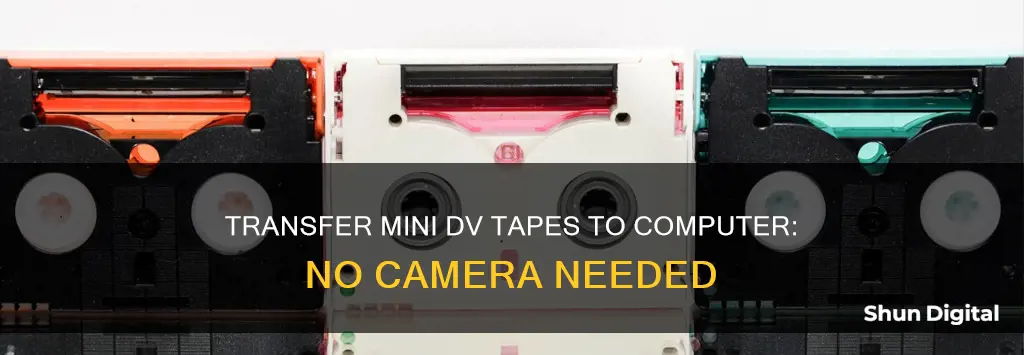 how to transfer mini dv tapes to computer without camera