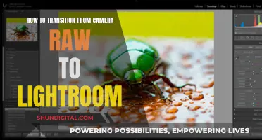 Transitioning from Camera Raw to Lightroom: A Guide