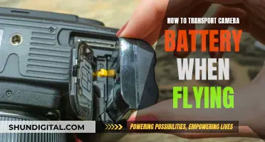 Traveling with Camera Gear: Safely Transporting Batteries