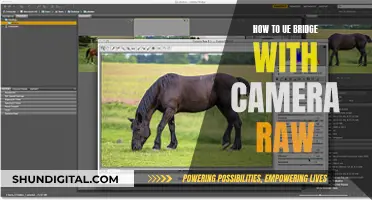 Using Bridge and Camera Raw Together: A Guide