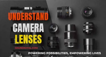 Understanding Camera Lenses: A Beginner's Guide to Photography