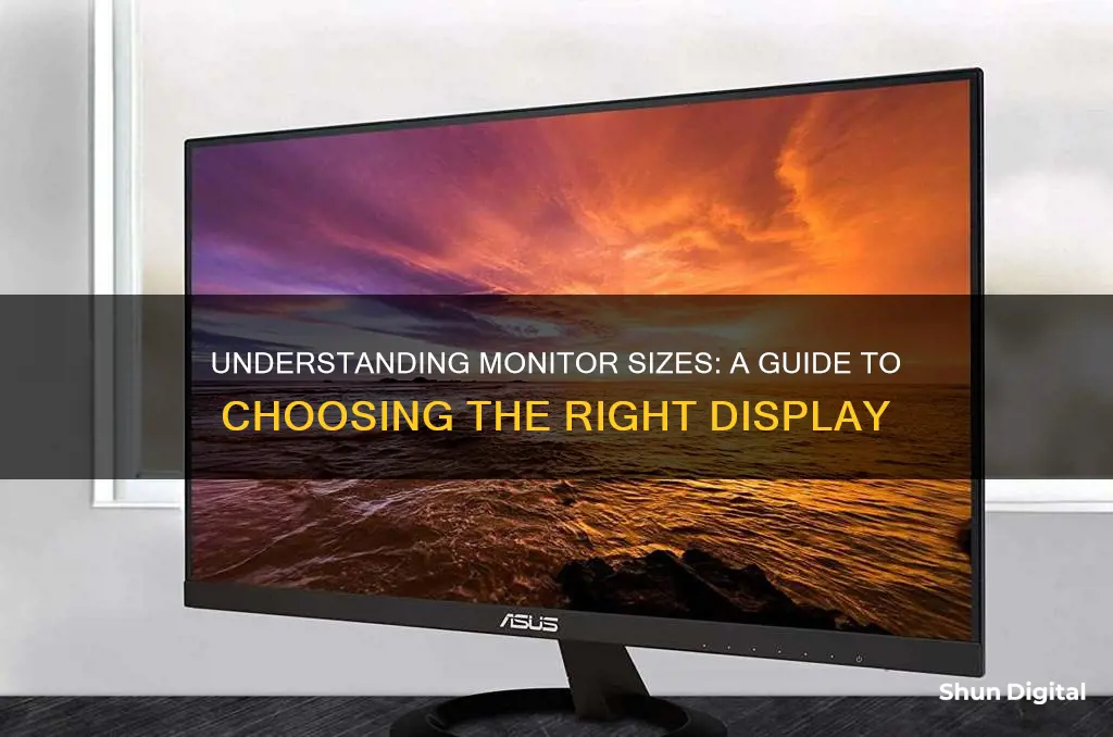 how to understand the size of a monitor