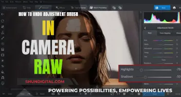 Mastering Adjustment Brush Undo in Camera Raw