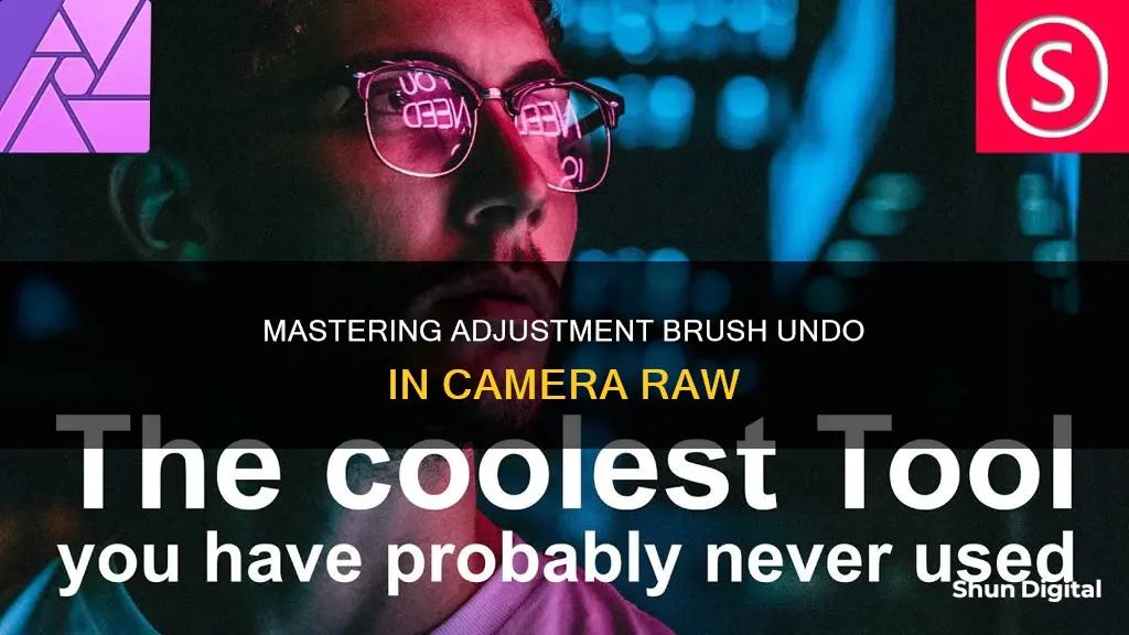 how to undo adjustment brush in camera raw