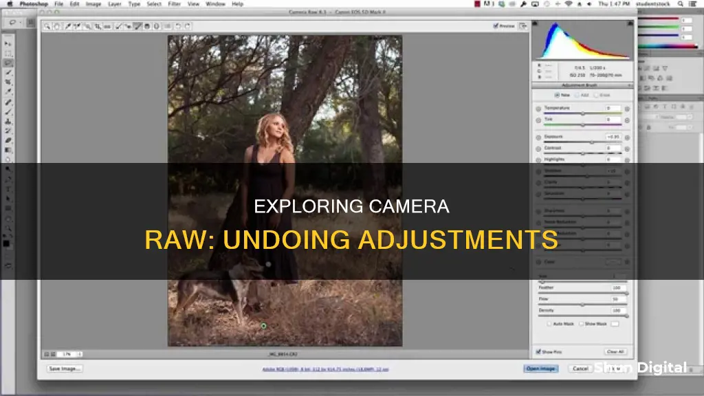 how to undo adjustments in camera raw