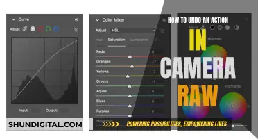Undoing Actions: Camera Raw's Secret Superpower