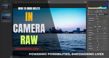 Quickly Recover Deleted Camera Raw Files