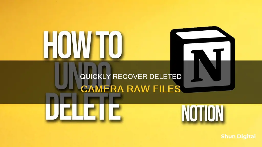 how to undo delete in camera raw