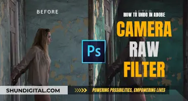 Exploring Adobe Camera Raw: Mastering the Undo Functionality