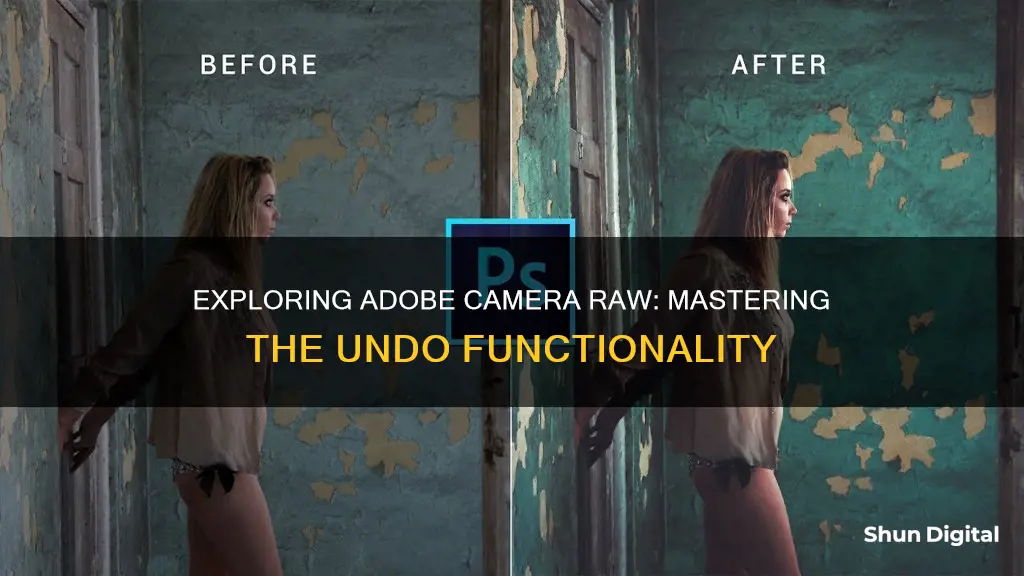 how to undo in adobe camera raw filter