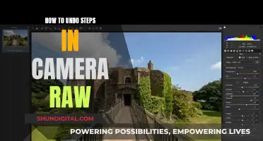 Undoing Steps in Camera Raw: A Simple Guide