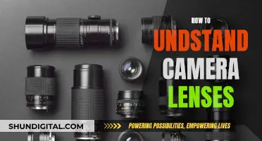 Understanding Camera Lenses: A Beginner's Guide to Photography