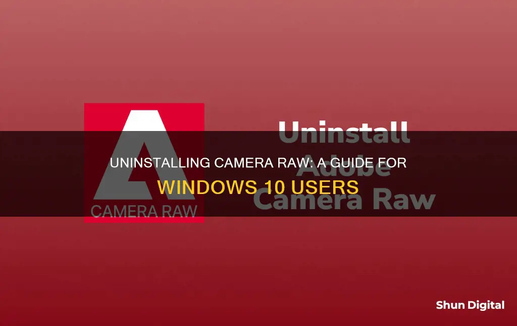 how to uninstall camera raw windows 10