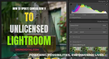 Unlocking Camera Raw: Unlicensed Lightroom Upgrade Secrets